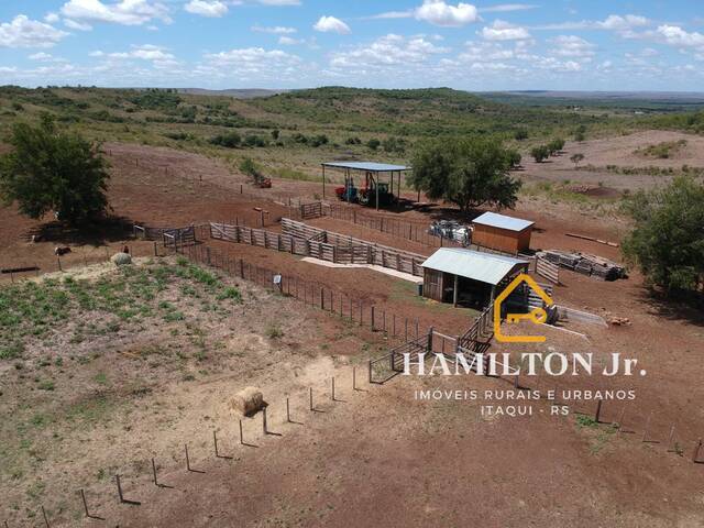 #3 - Fazenda para Venda em Alegrete - RS