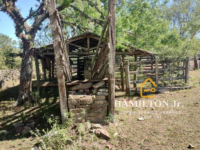 #19 - Fazenda para Venda em Quaraí - RS