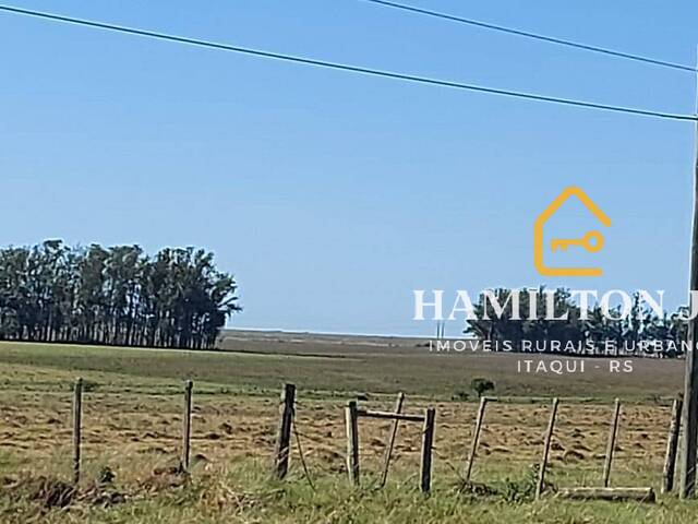 #19 - Fazenda para Venda em Quaraí - RS