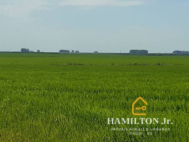 #24 - Fazenda para Venda em Uruguaiana - RS