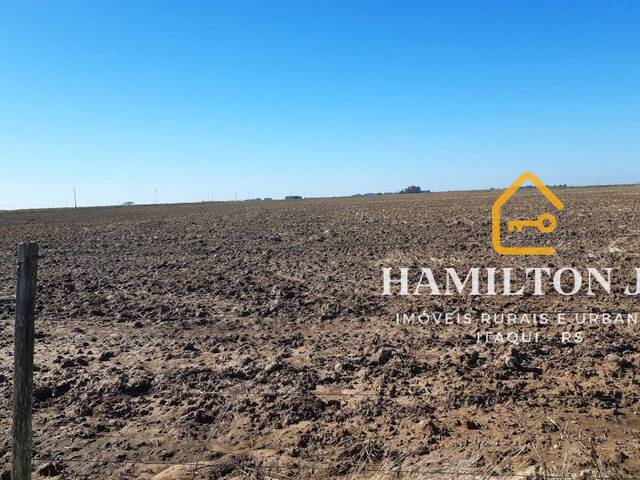 #30 - Fazenda para Venda em Itaqui - RS